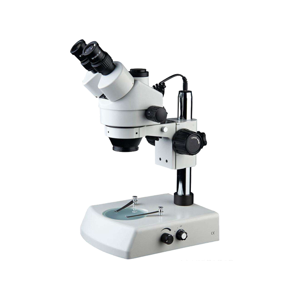 体视显微镜SZM45